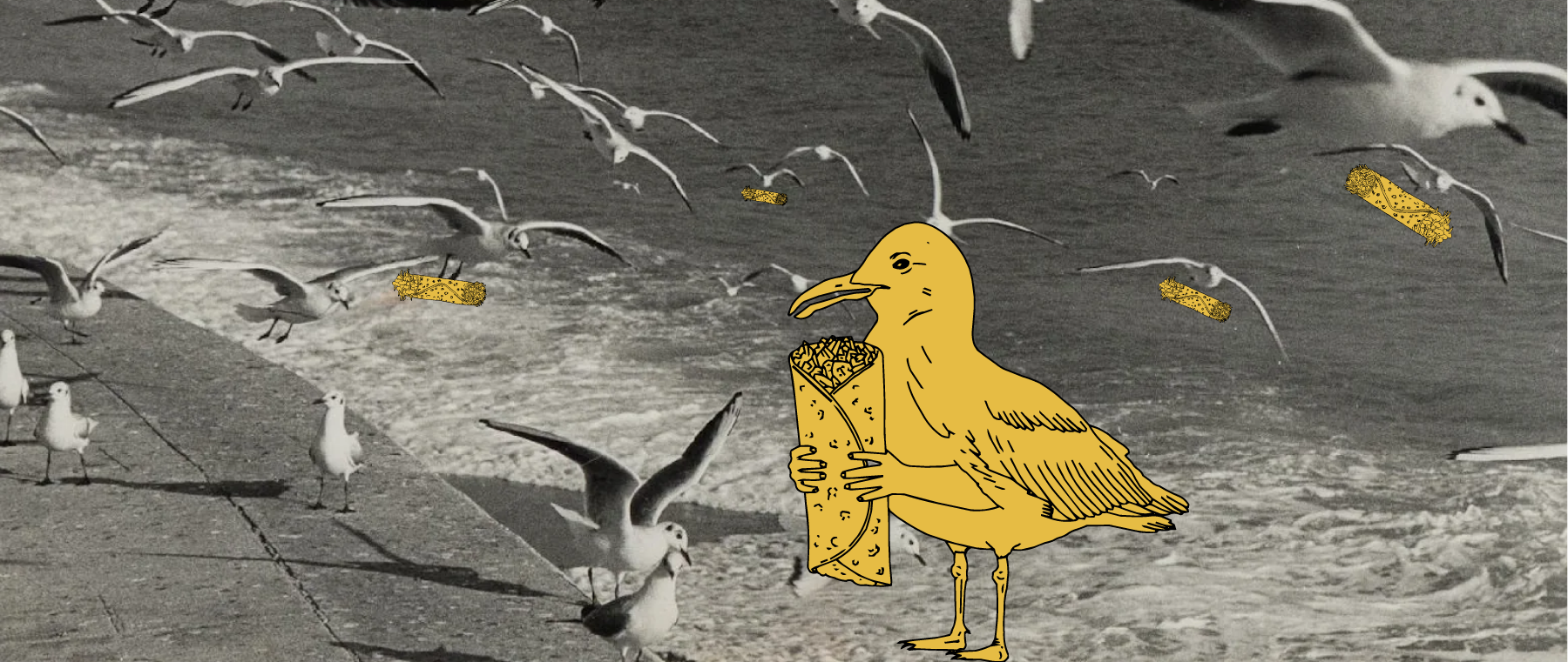 Kraatical Collection