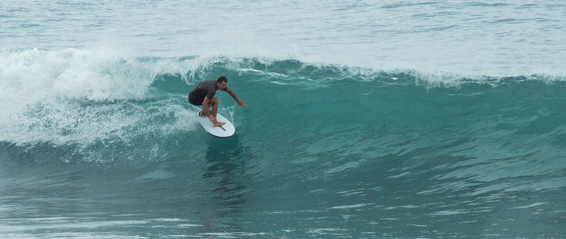 Twin Fins